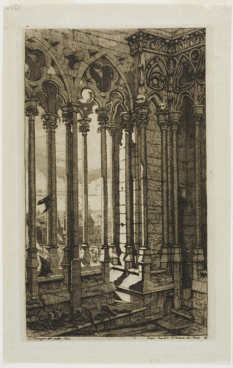 Die Galerie von Notre-Dame, Paris von Charles Meryon