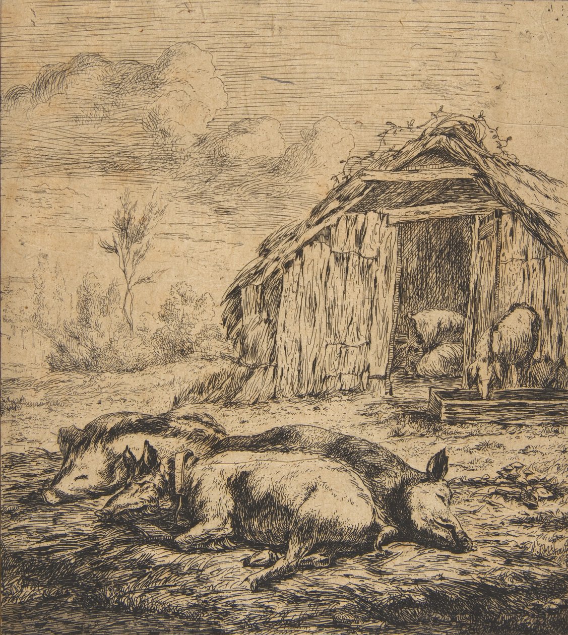 Drei Schweine vor einem Schuppen liegend, 1850 von Charles Meryon