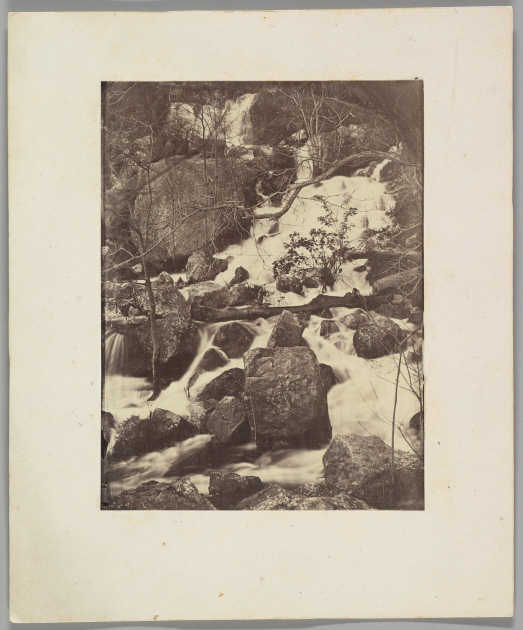 Bäume und Wasserfälle von Charles Nègre