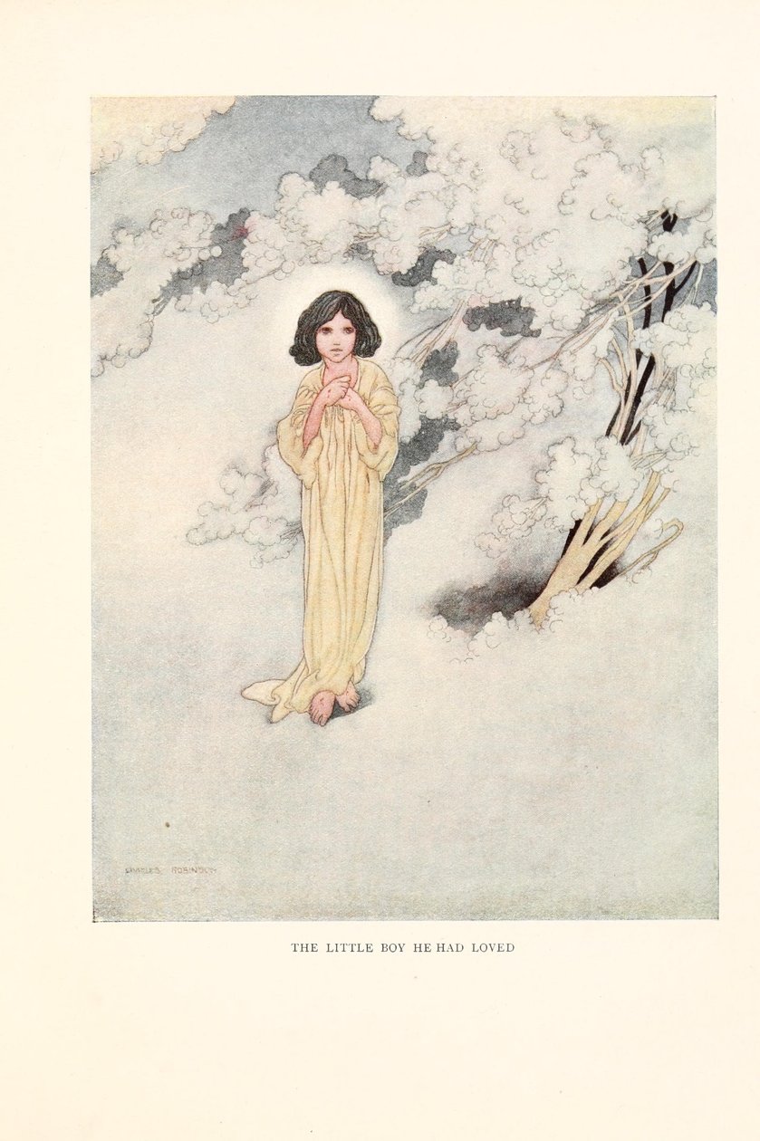 Der kleine Junge, den er geliebt hatte von Charles Robinson