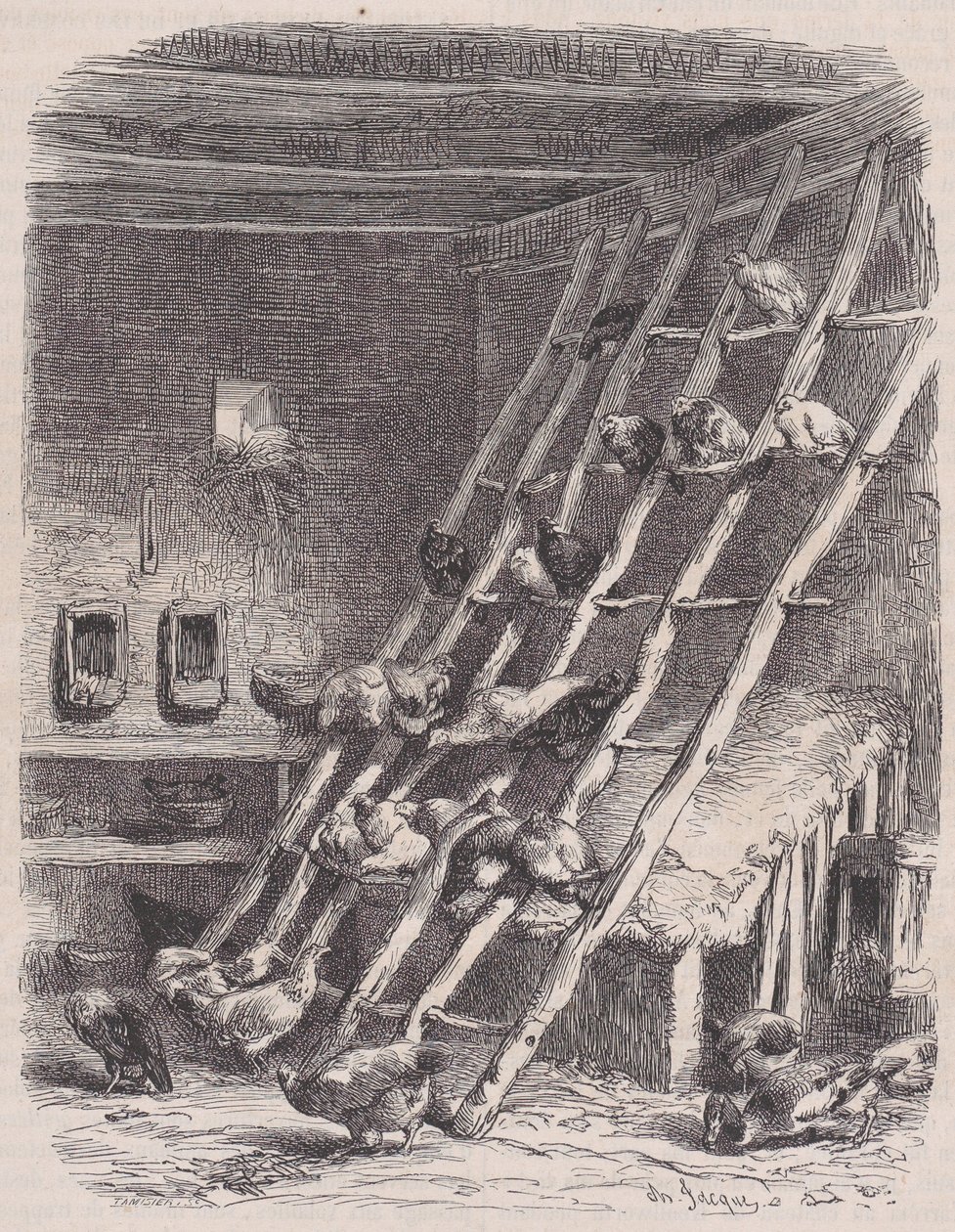 Besuch auf einem Bauernhof - Der Hühnerstall, aus Le Magasin Pittoresque, ca. 1852 von Charles Tamisier