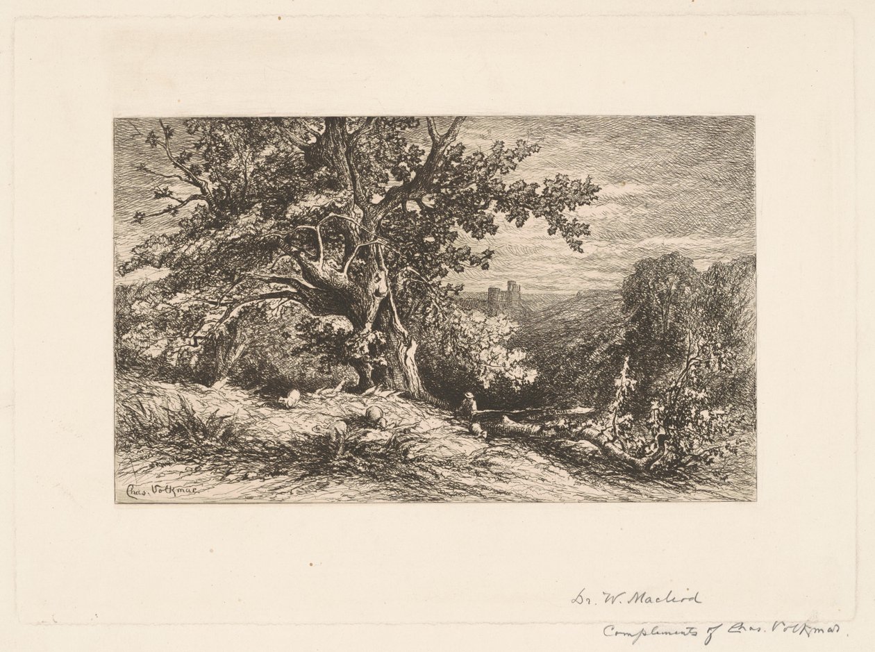 Landschaft mit umgestürztem Baum von Charles Volkmar