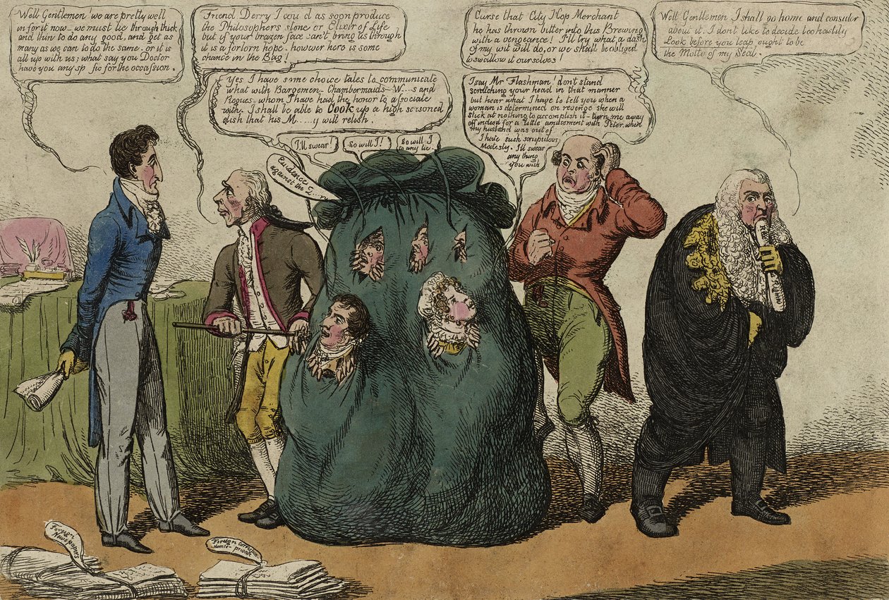 Ein Blick in die grüne Tasche - Jetzt in beiden Häusern des Parlaments von Charles Williams