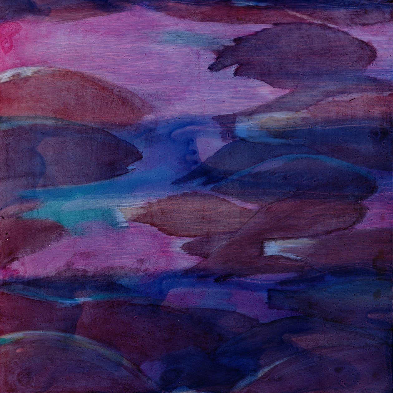 Lila Papageien VI, 2000 von Charlotte Johnstone