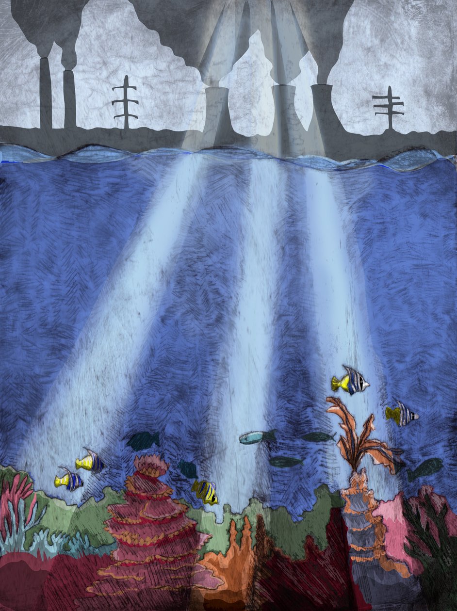 Korallenriff, 2013 von Charlotte Orr
