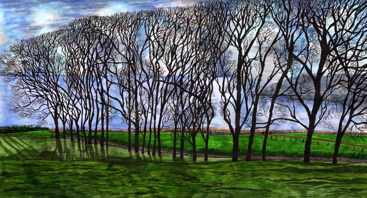 Cushendun, Nordirland, 2020 von Charlotte Orr