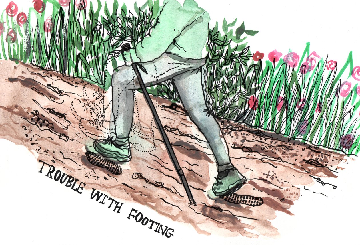 Parkinsons Illustrationen, 2019 von Charlotte Orr