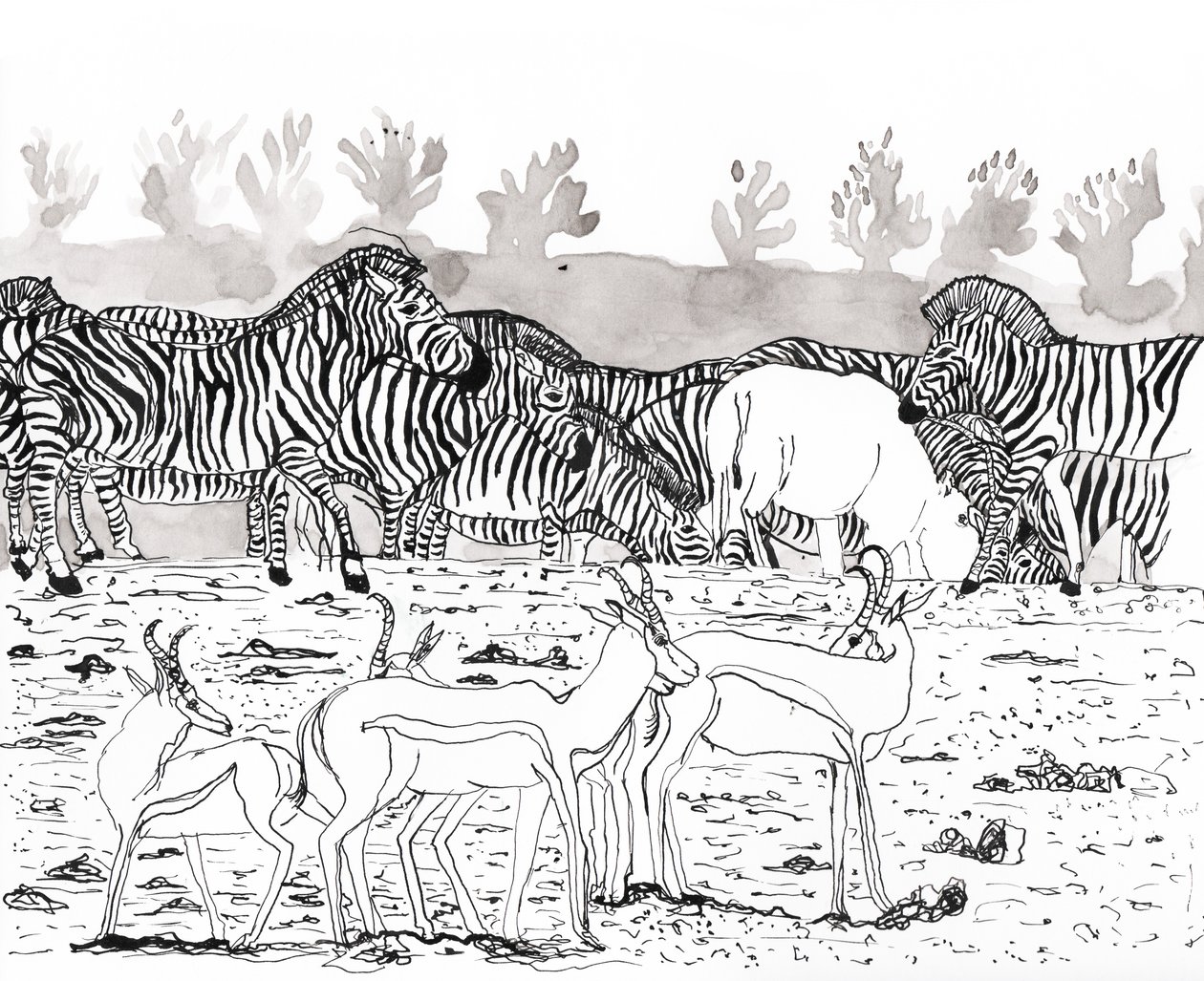 Safari 3, 2018 von Charlotte Orr