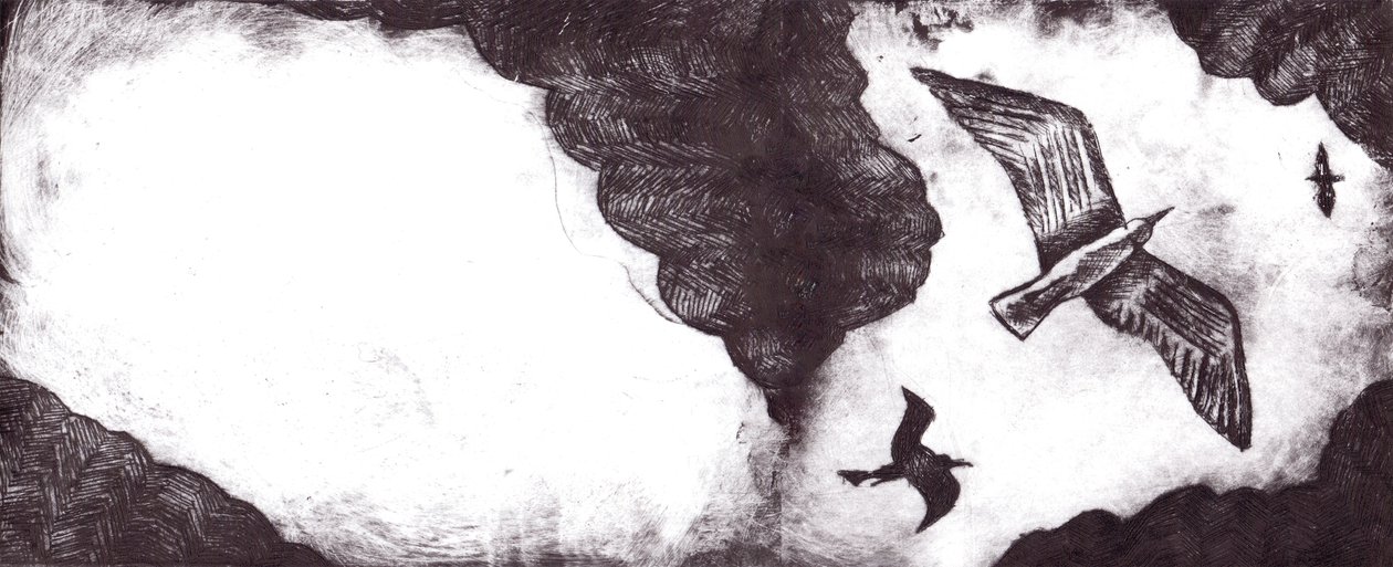 Die Geschichte der Möwe von Charlotte Orr