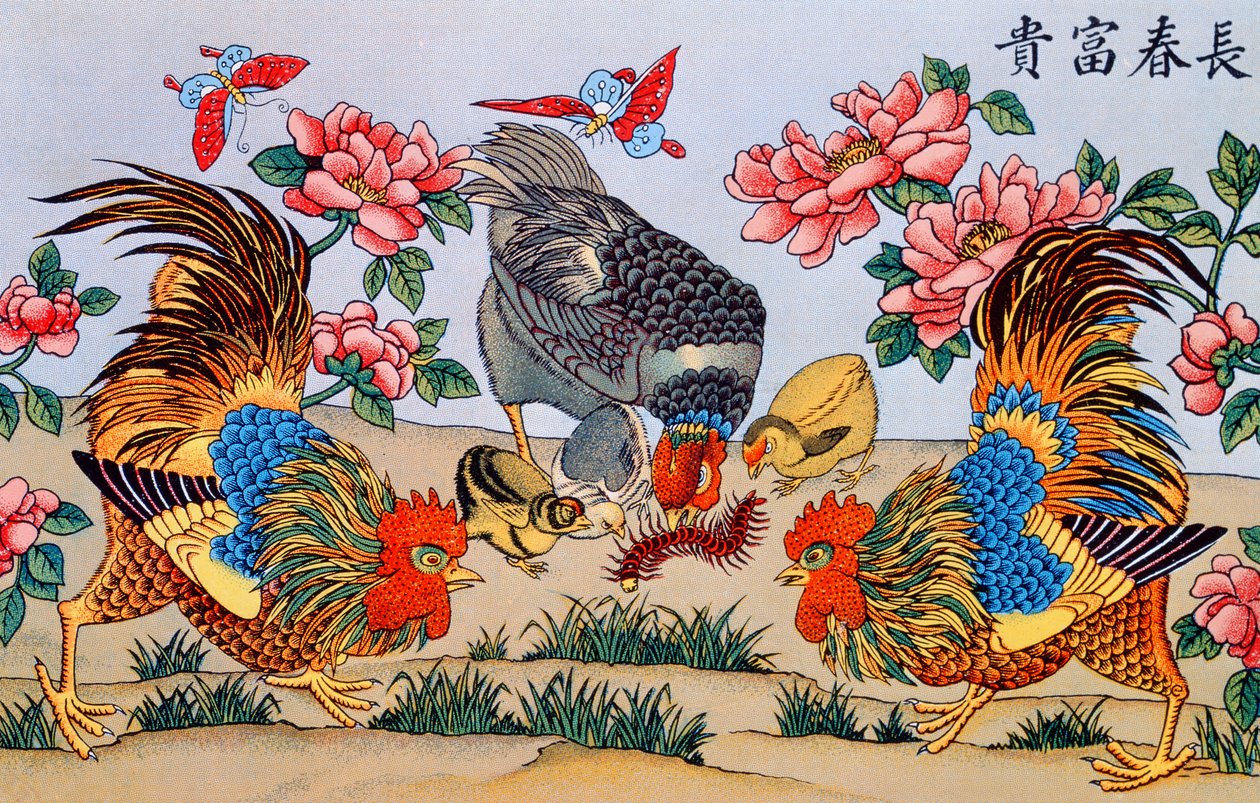 Hahn tötet einen Tausendfüßler, Illustration aus Recherches sur les superstitions en Chine, veröffentlicht in Shanghai von Imprimerie de la Mission Catholique, 1929 von Chinese School