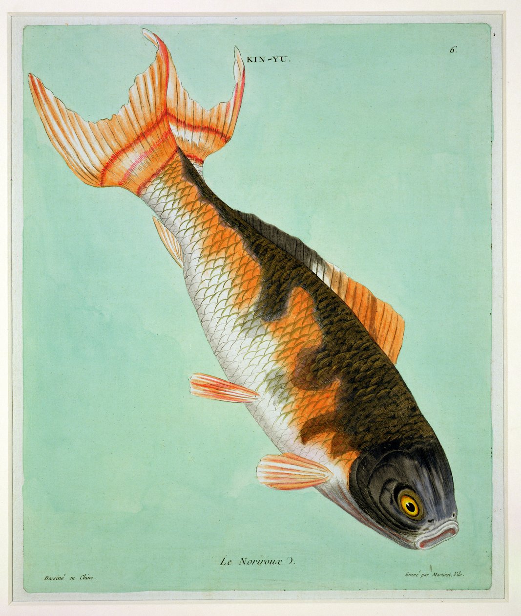 Le Noriroux, graviert von Francois Nicholas Martinet (1731-nach 1796) von Chinese School