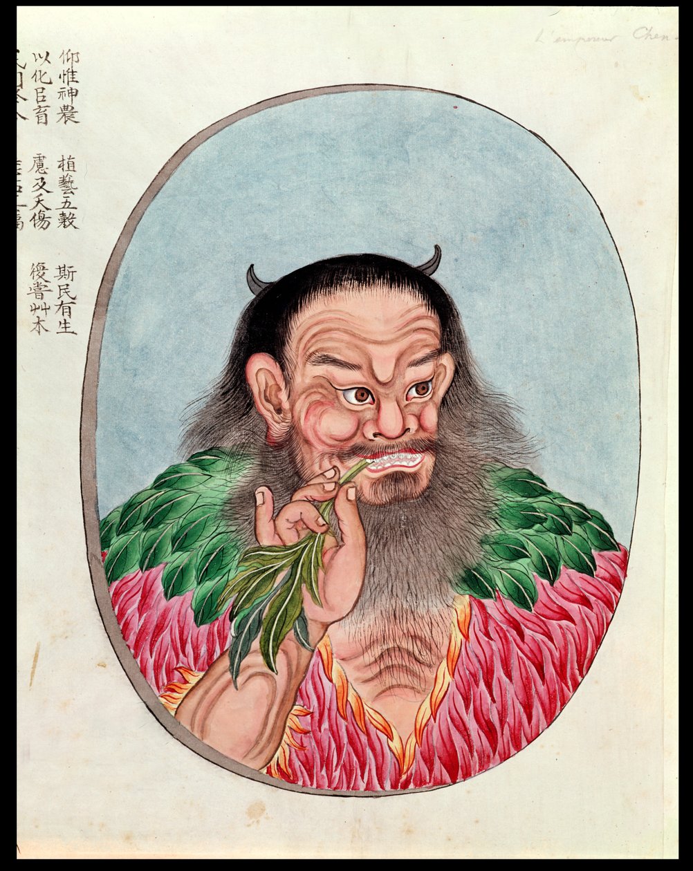 Der legendäre Kaiser Shen-Nung, Illustration aus einem Pen Tsao, 18.-19. Jahrhundert von Chinese School