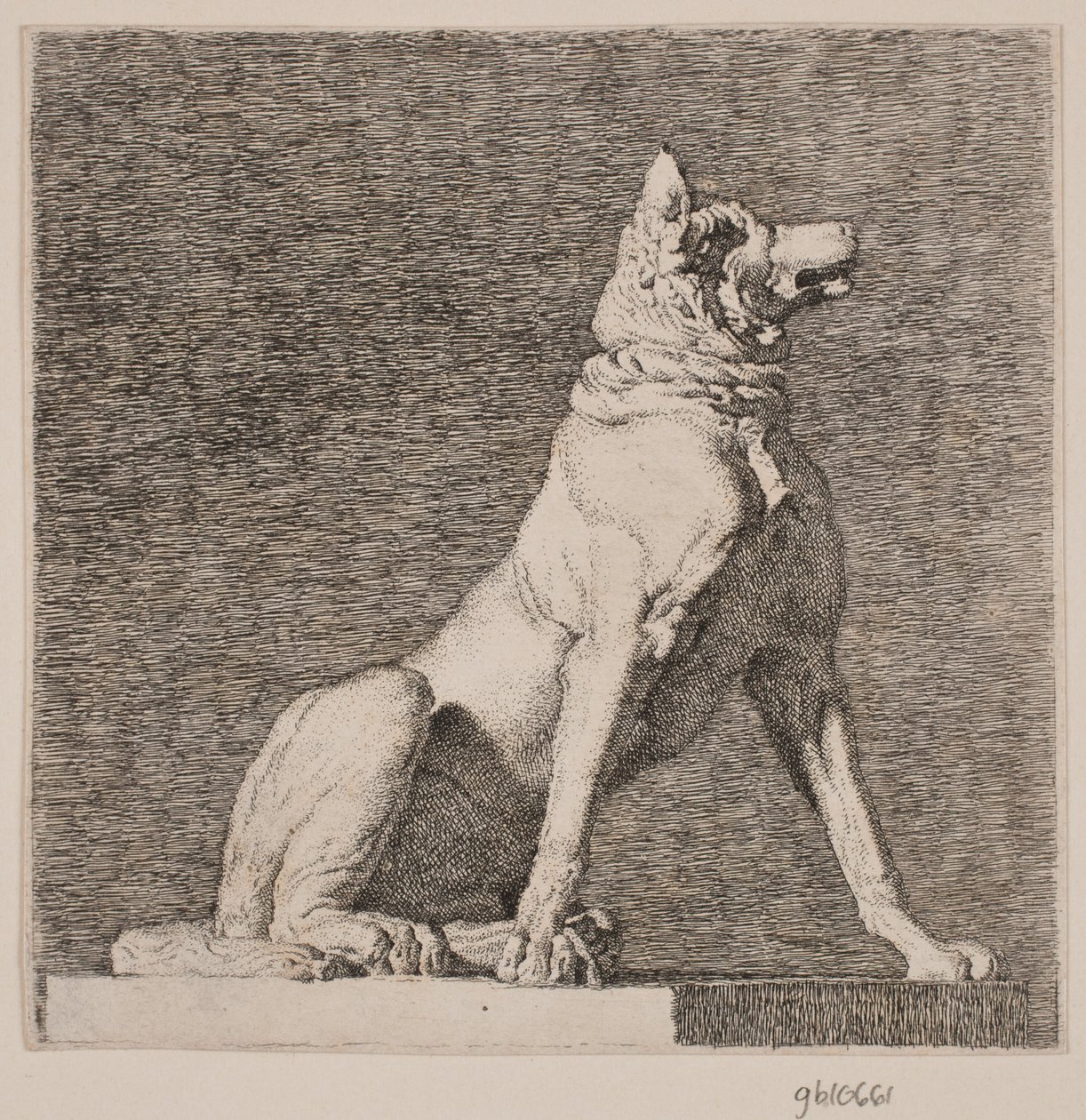 Ein sitzender Hund nach einer Antike in Charlottenborg von Christen Købke