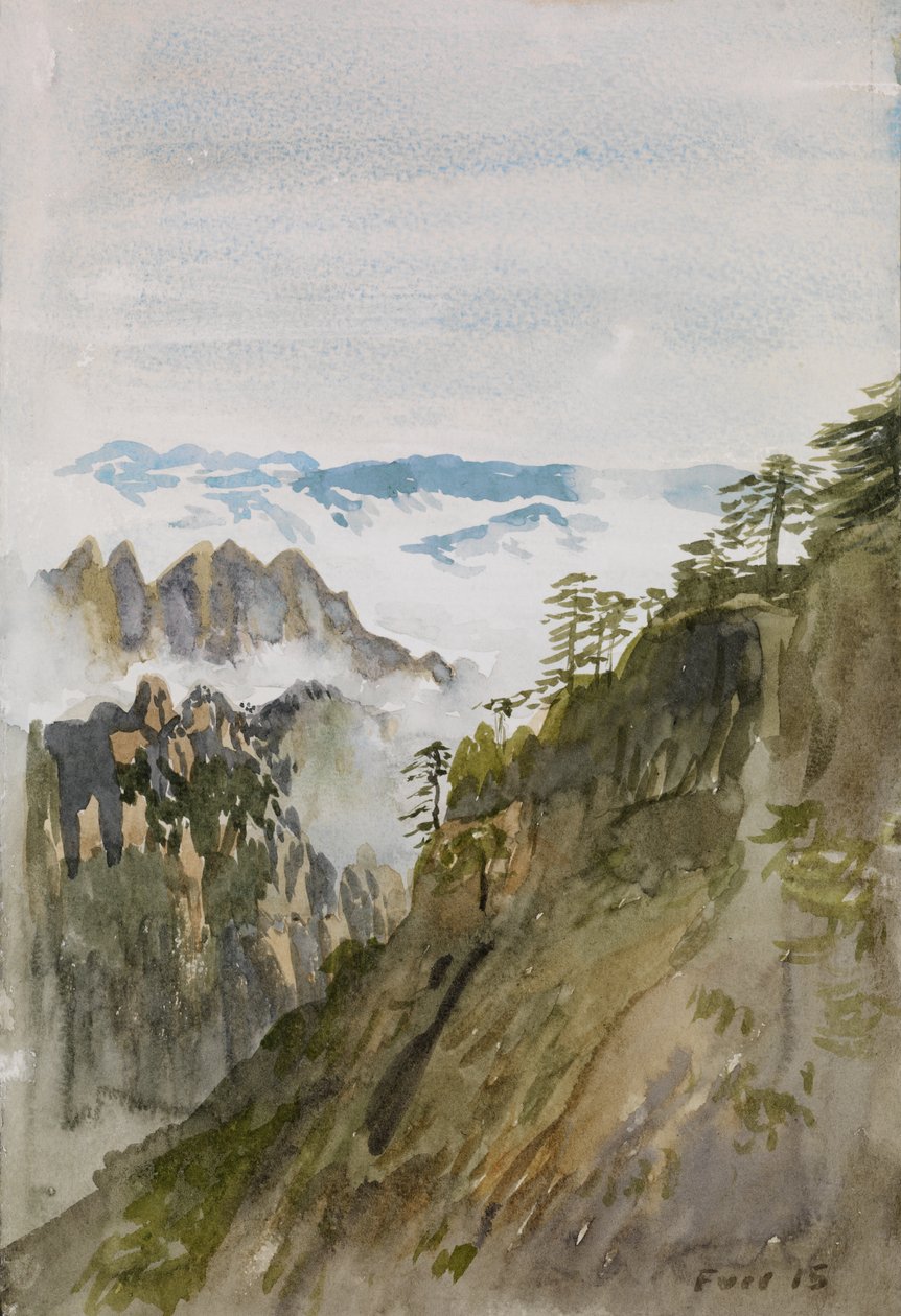 Gelbe Bergkiefern, Huangshan, 2015 von Christian Furr