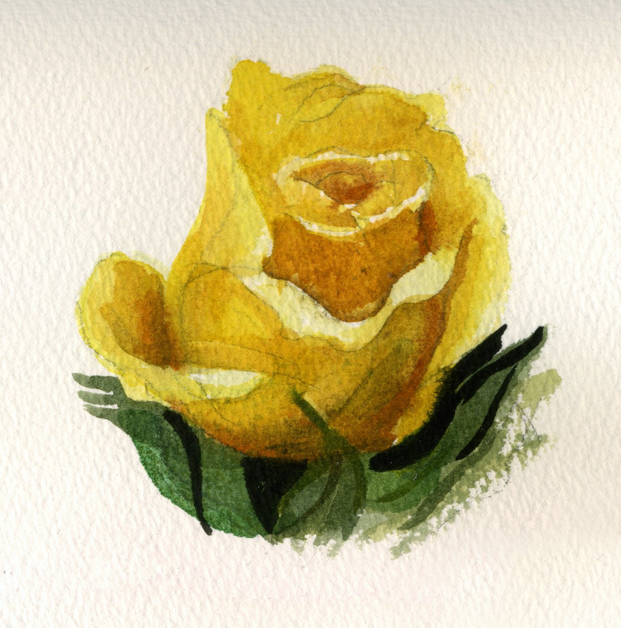 Gelbe Rose, 2009 von Christian Furr