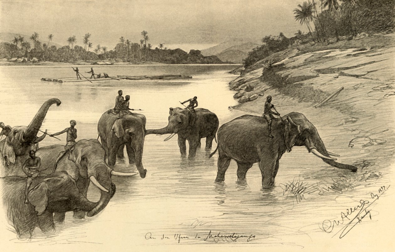 Elefanten am Ufer des Mahaweli-Flusses, Ceylon von Christian Wilhelm Allers