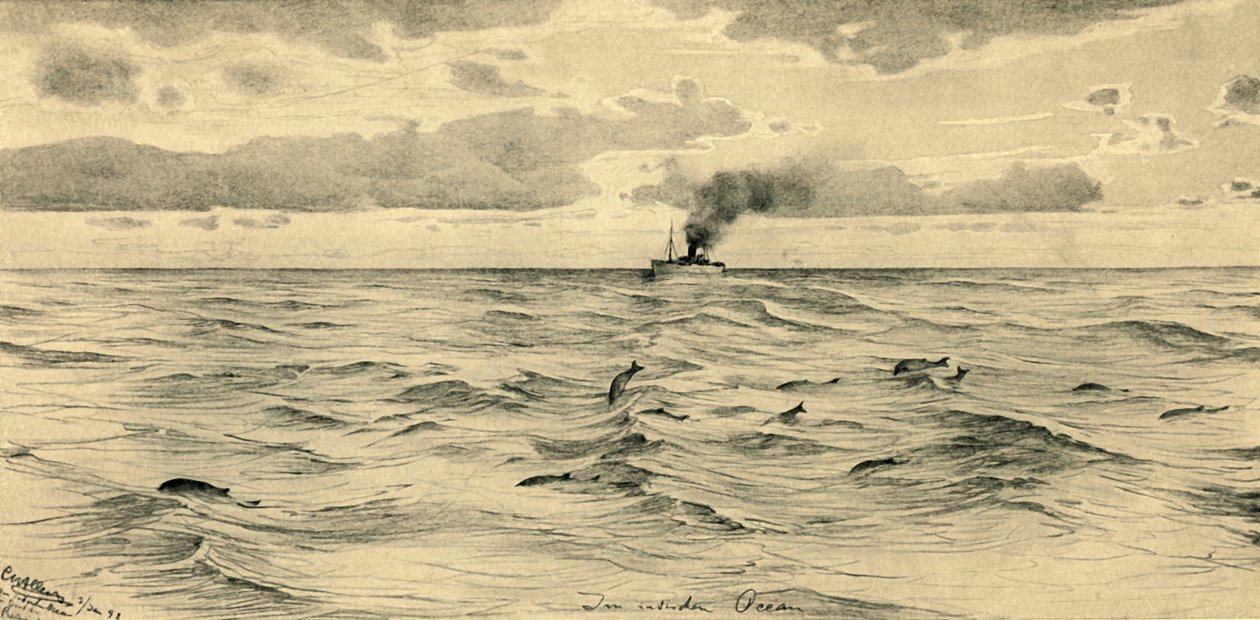 Dampfschiff auf dem Indischen Ozean, 1898 von Christian Wilhelm Allers