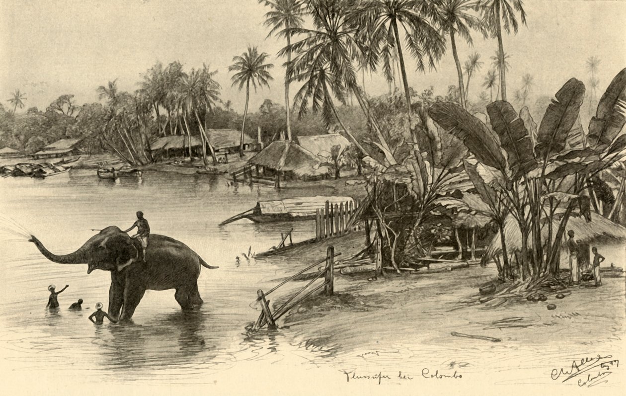 Waschen eines Elefanten im Fluss, Colombo, Ceylon, 1898 von Christian Wilhelm Allers