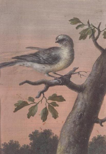 Vogel auf einem Ast von Christoph Ludwig Agricola