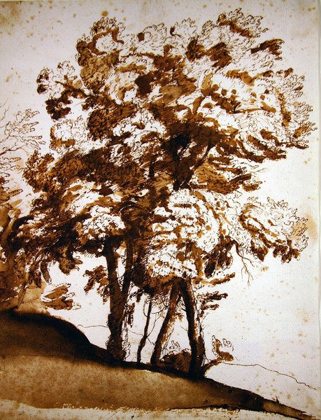 Eine Gruppe von Bäumen im Sonnenlicht von Claude Lorrain