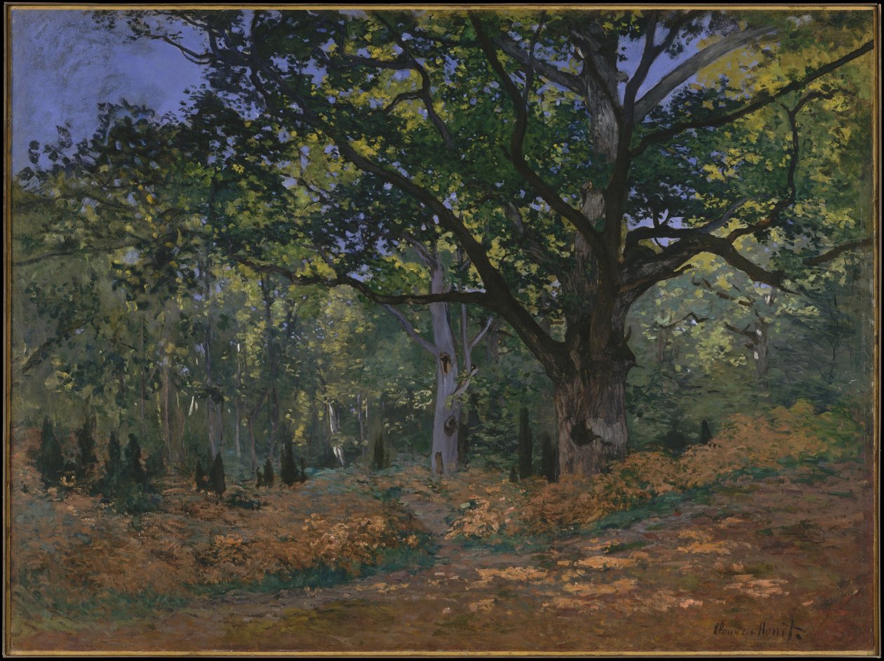 Die Bodmer-Eiche, Wald von Fontainebleau, 1865 von Claude Monet