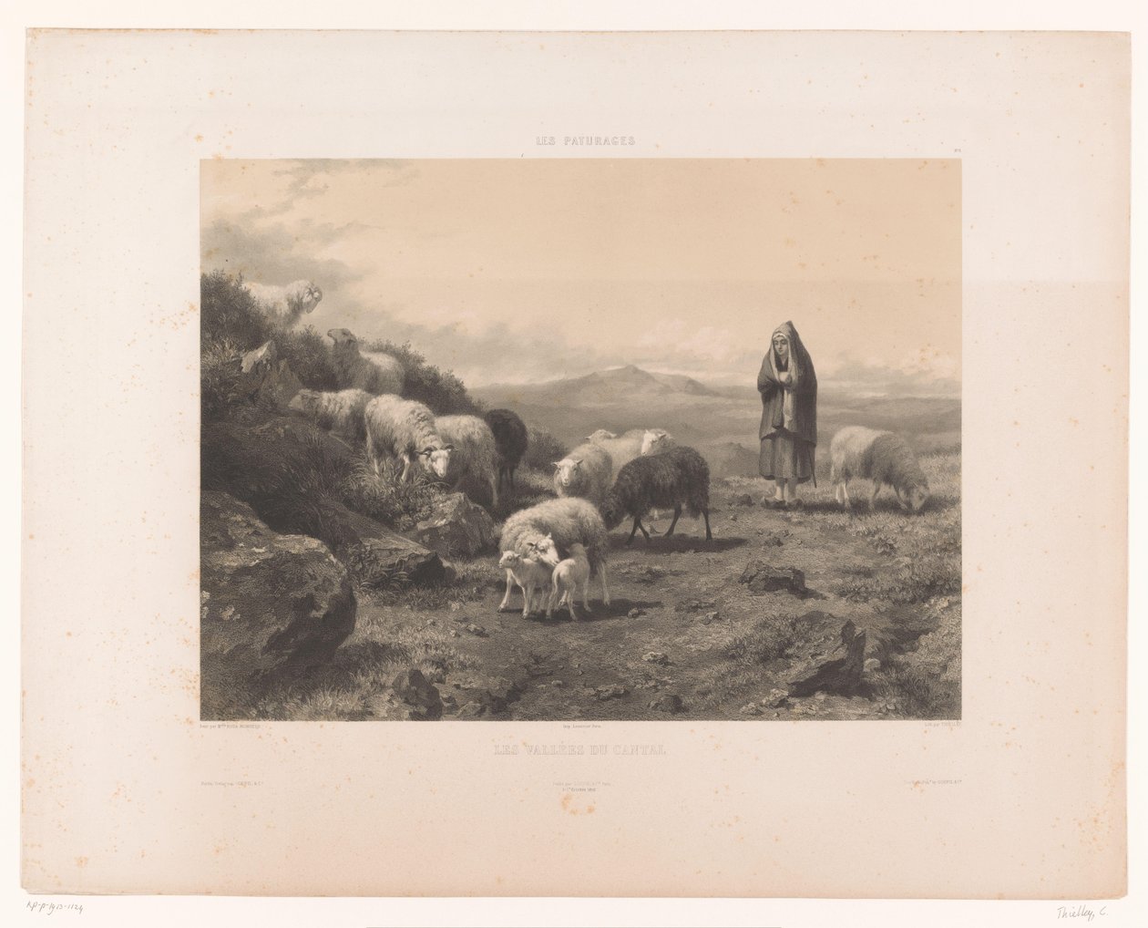 Hirtin mit Schafen auf der Ebene von Cantal von Claude Thielley