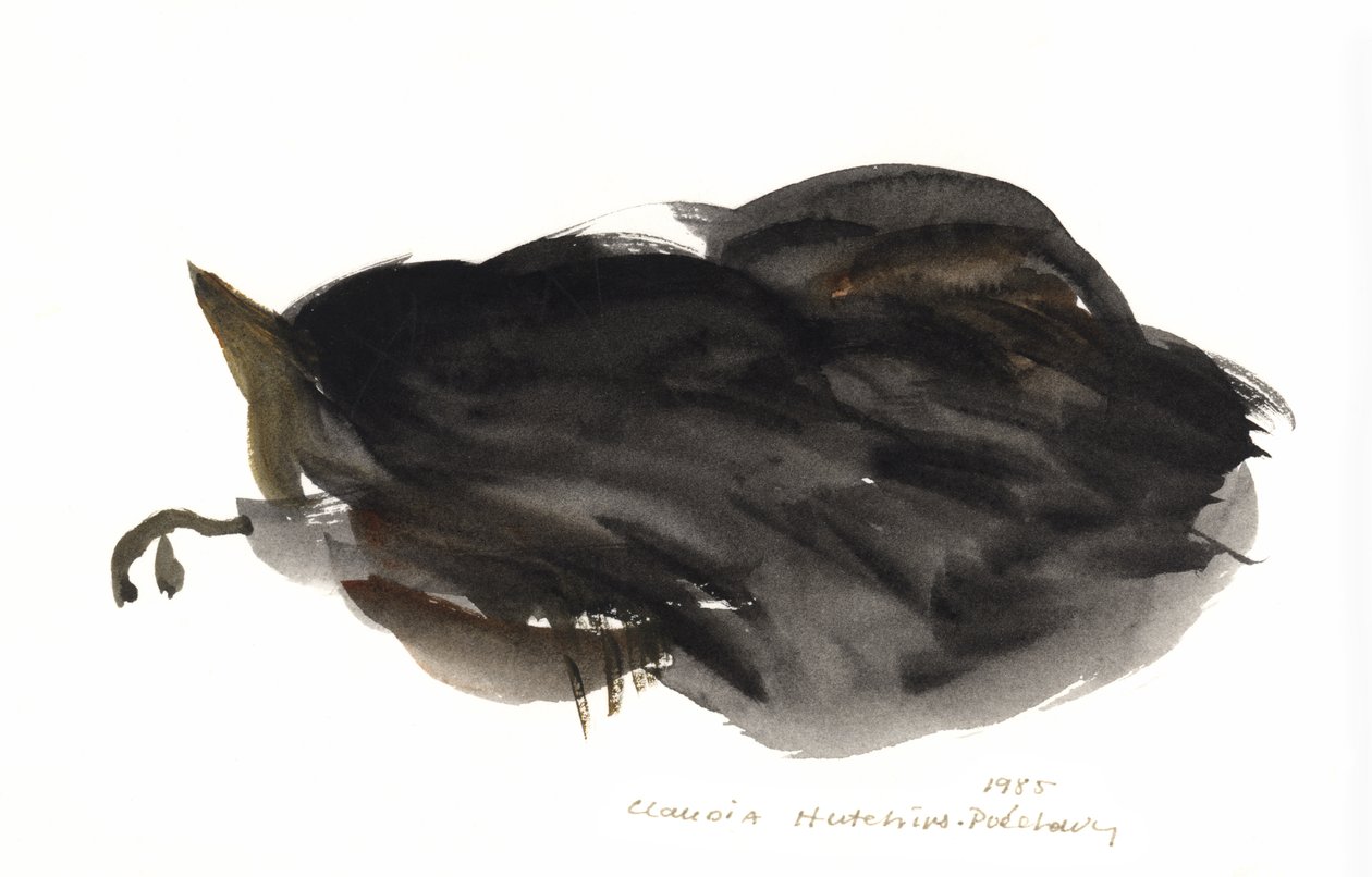 Schlafende Katze, 1985 von Claudia Hutchins Puechavy