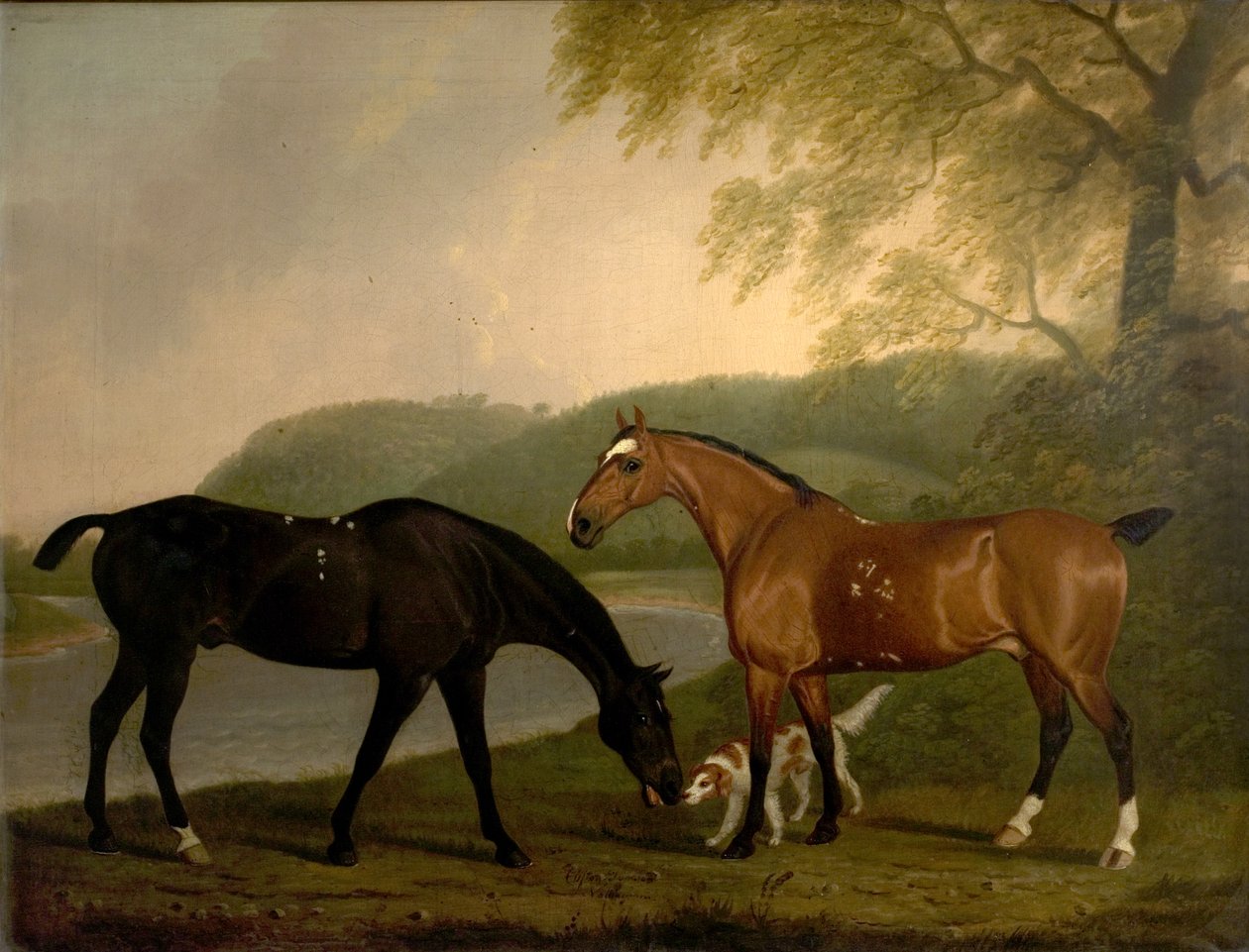 Pferde und Hund in einer Landschaft, ca. 1830 von Clifton Tomson