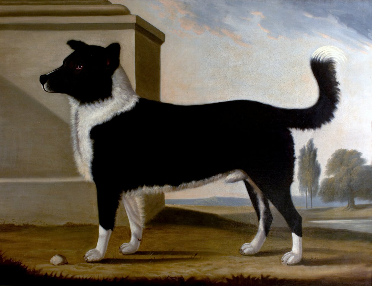 Lord Byrons Hund Boatswain (Der Neufundländer) von Clifton Tomson