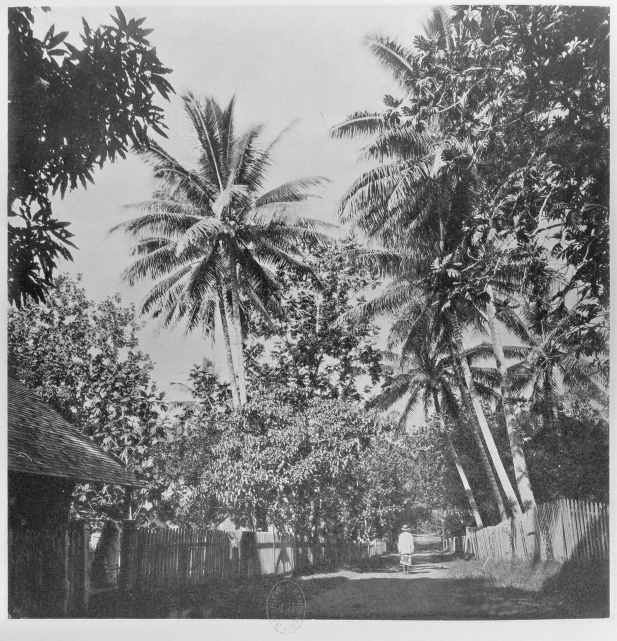 Eine Straße in Papeete, aus 