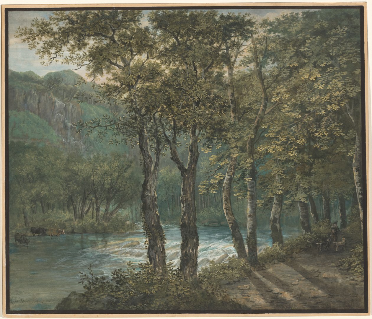 Sonnenlicht, das durch Bäume am Fluss Sihl filtert von Conrad Gessner