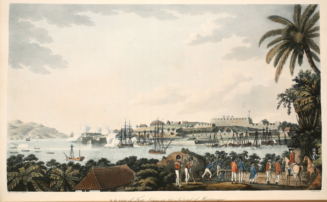 N.O. Ansicht von Fort Louis auf der Insel Martinique, Illustration aus 