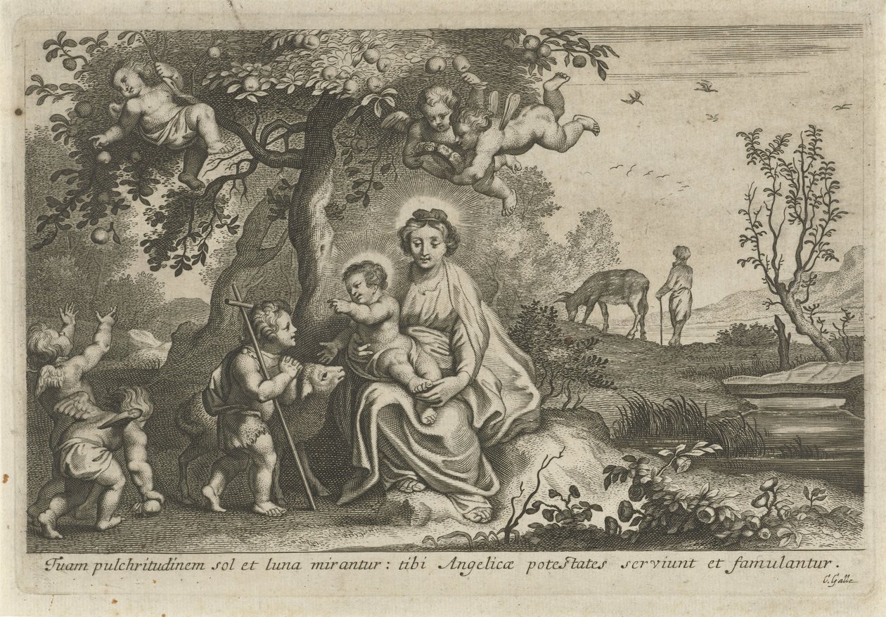 Maria mit Kind und Johannes dem Täufer von Cornelis Galle (II)
