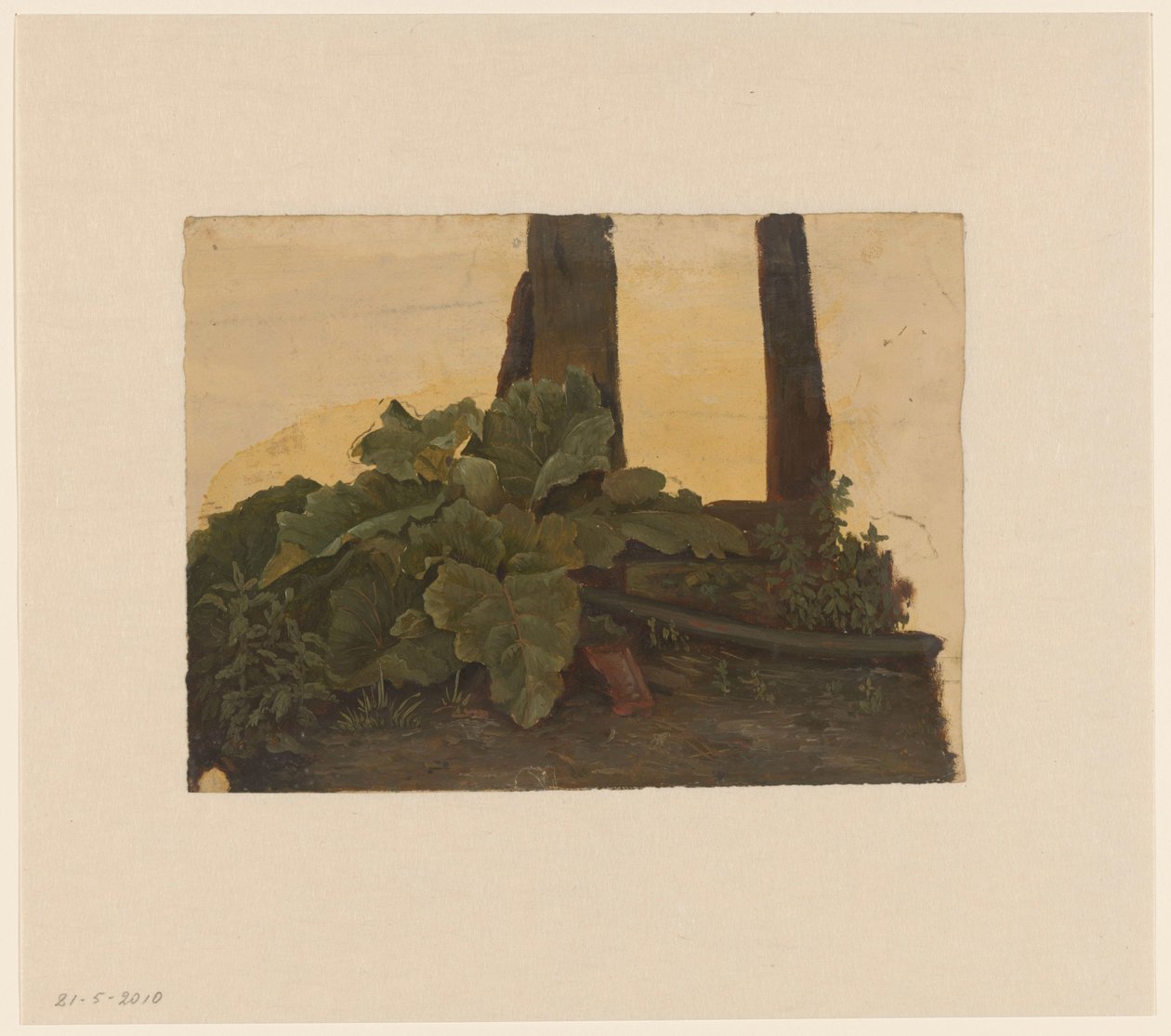 Pflanzen am Fuß eines Baumstamms von Cornelis Johannes de Vogel