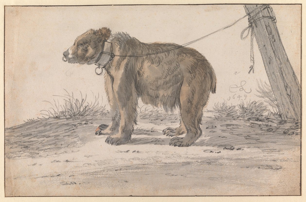 Ein Bär an einem Seil von Cornelis Saftleven