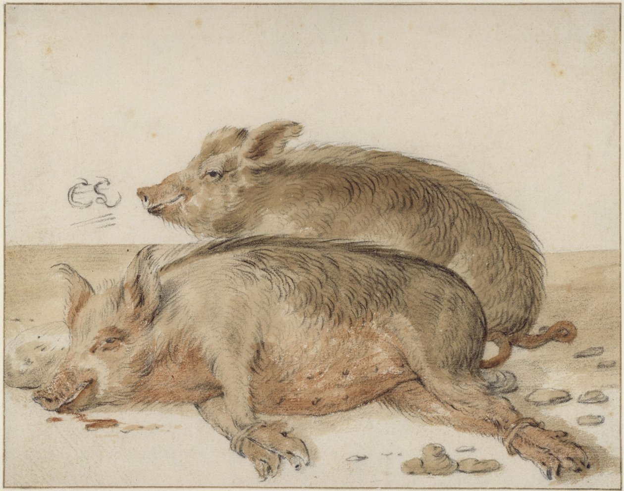 Zwei Schweine von Cornelis Saftleven