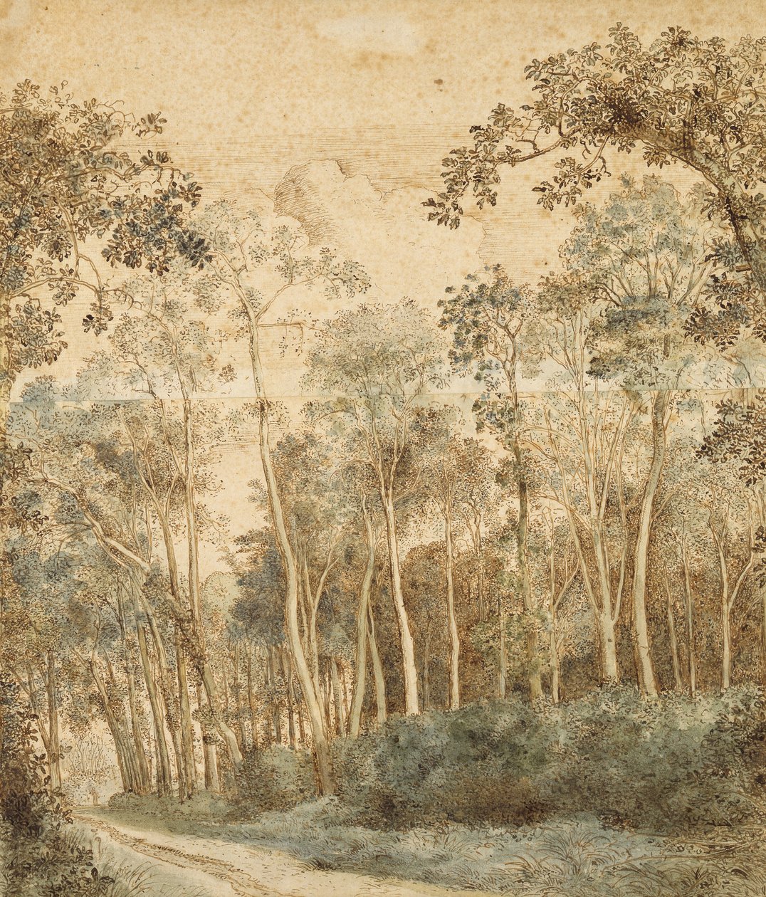 Bewaldete Landschaft von Hendrick Cornelisz. Vroom