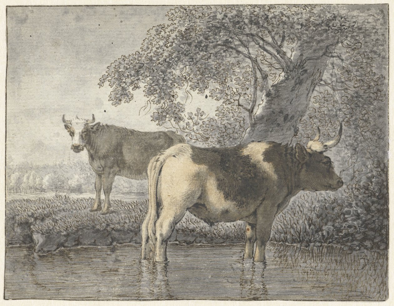 Zwei Kühe unter einem Baum am Wasser von Cornelis van Noorde