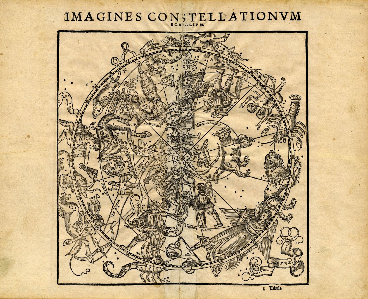 Imagines Constellationum Borealium (Nordliche Himmelsplanisphäre) von Coronensis & Petri Heinrich Honter
