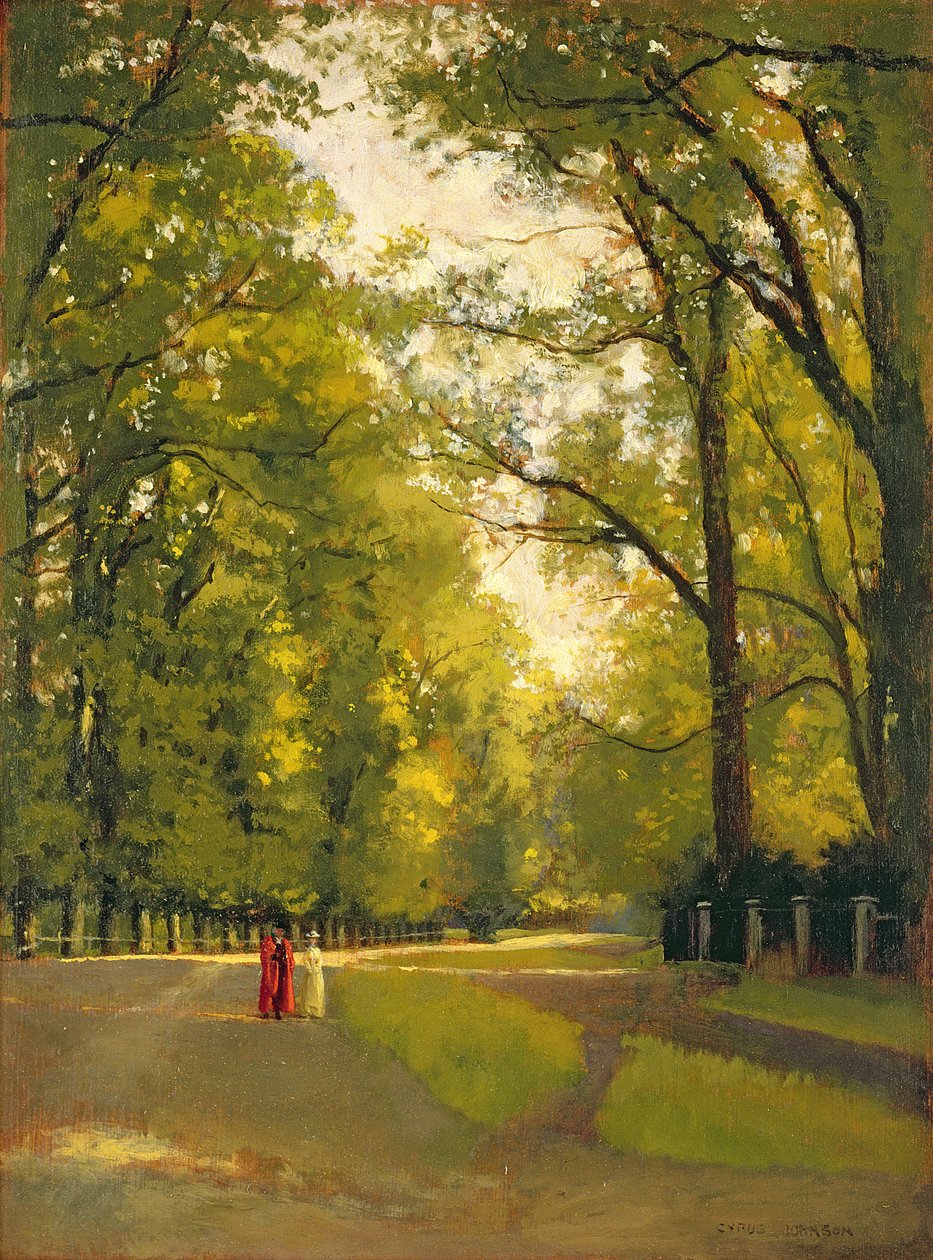 Rückseiten der Colleges, Cambridge von Cyrus Johnson