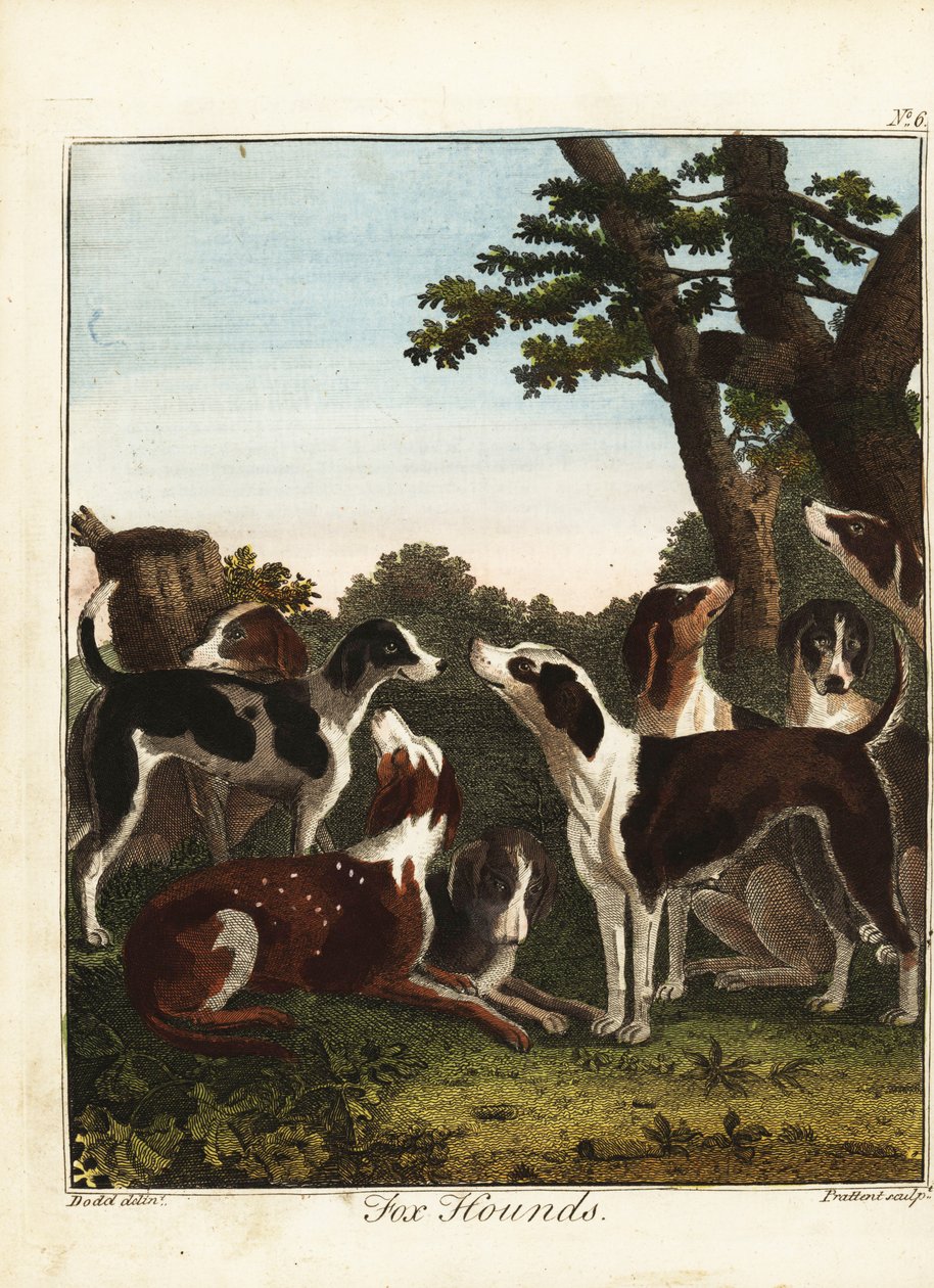 Ein Rudel Füchse vor der Jagd von Daniel (after) Dodd