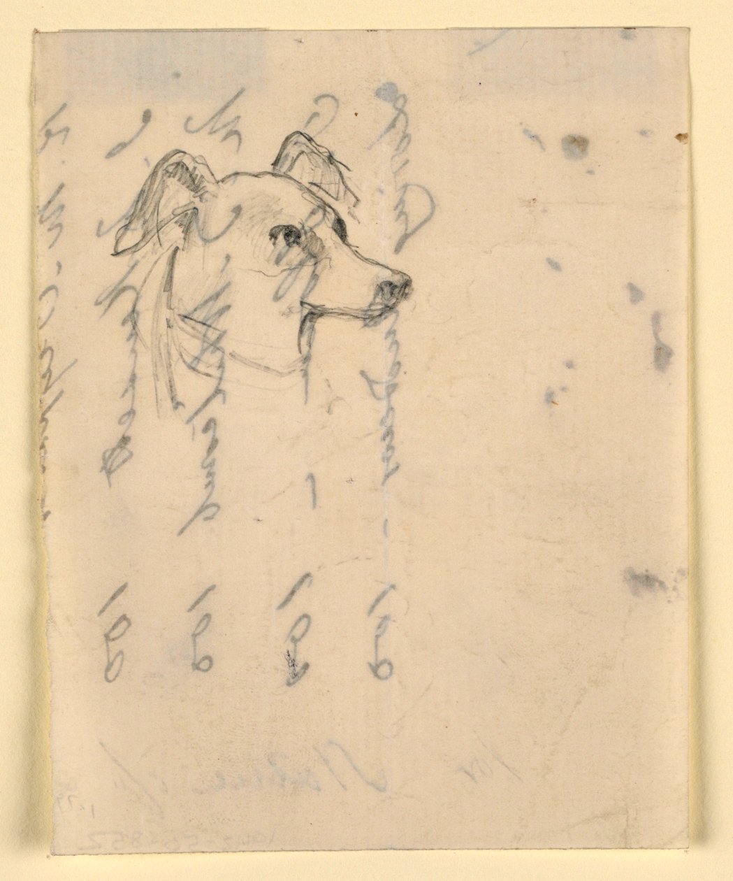 Hundekopf, wahrscheinlich Milo (ein Pointer), ca. 1862 von Daniel Huntington