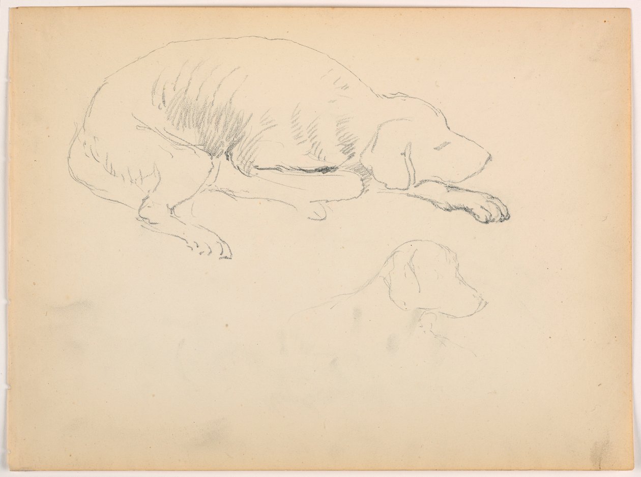 Milo (ein Pointer), Zwei Studien von Daniel Huntington