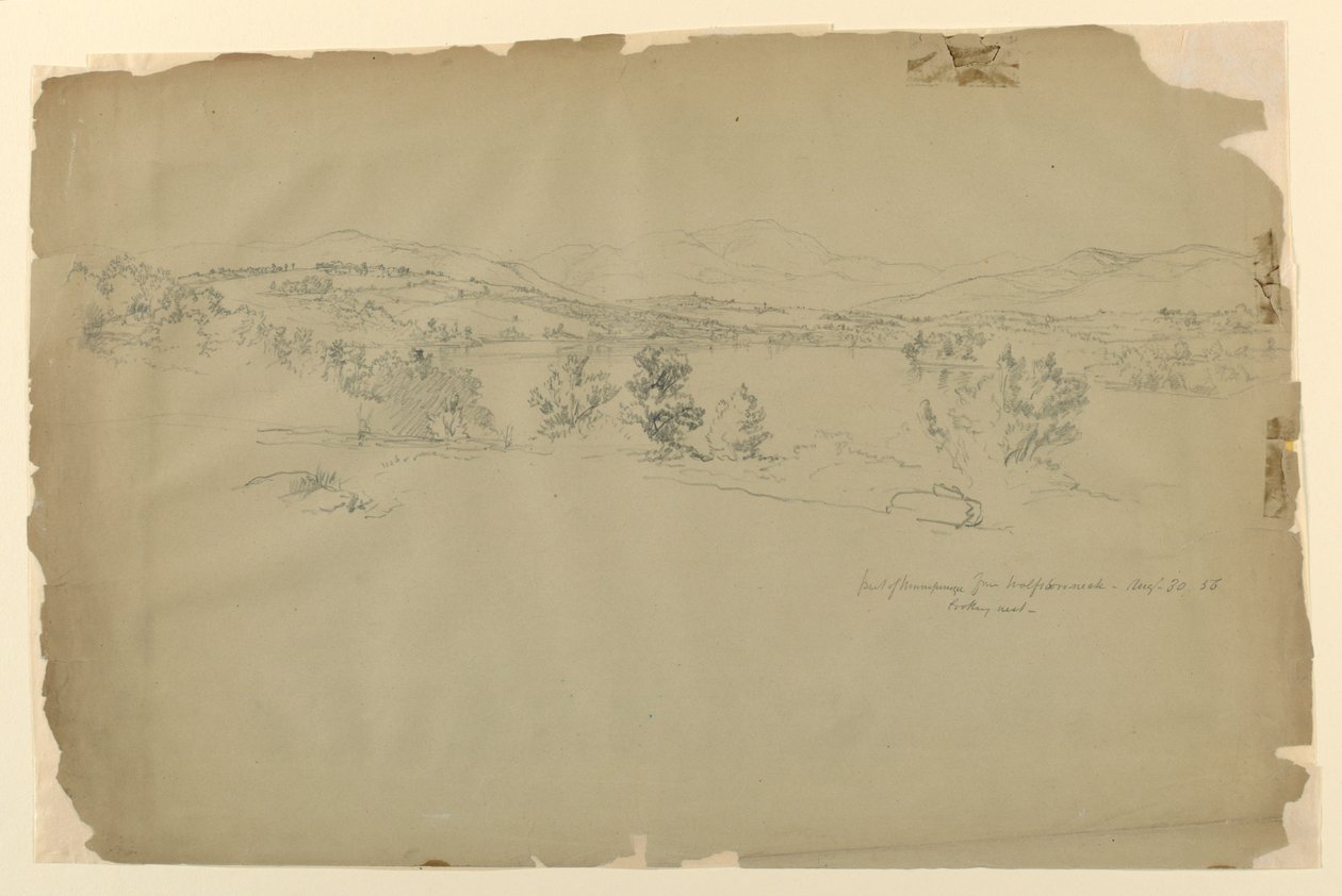 Lake Winnipesaukee von Wolfeboro Neck, Blick nach Westen von Daniel Huntington