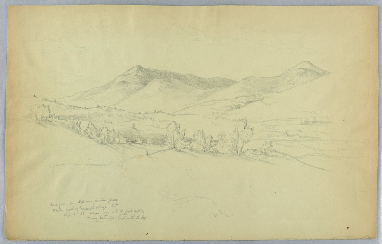 Whiteface Mountain, nördlich von Tamworth Village, New Hampshire von Daniel Huntington