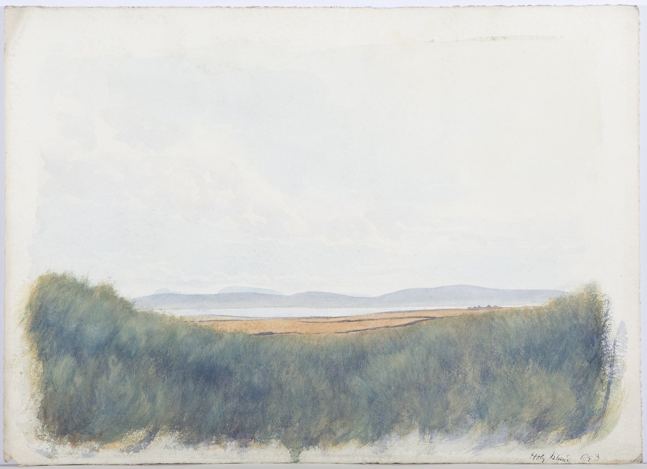 Holy Island, 1893 von Daniel Oliver