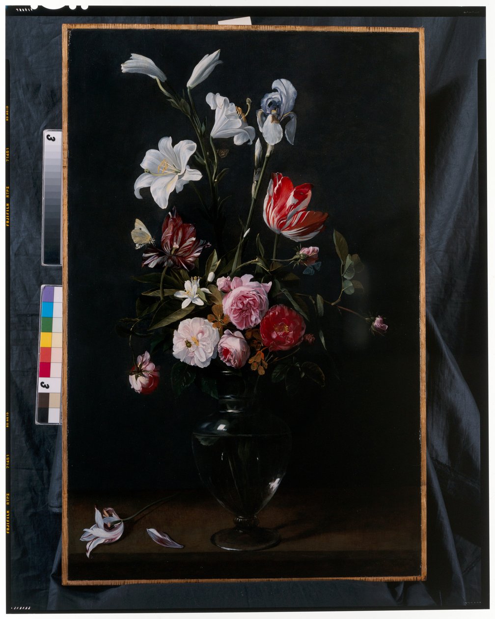 Girlanden aus Rosen, Tulpen, Narzissen und anderen Blumen, die an blauen Bändern hängen von Daniel Seghers