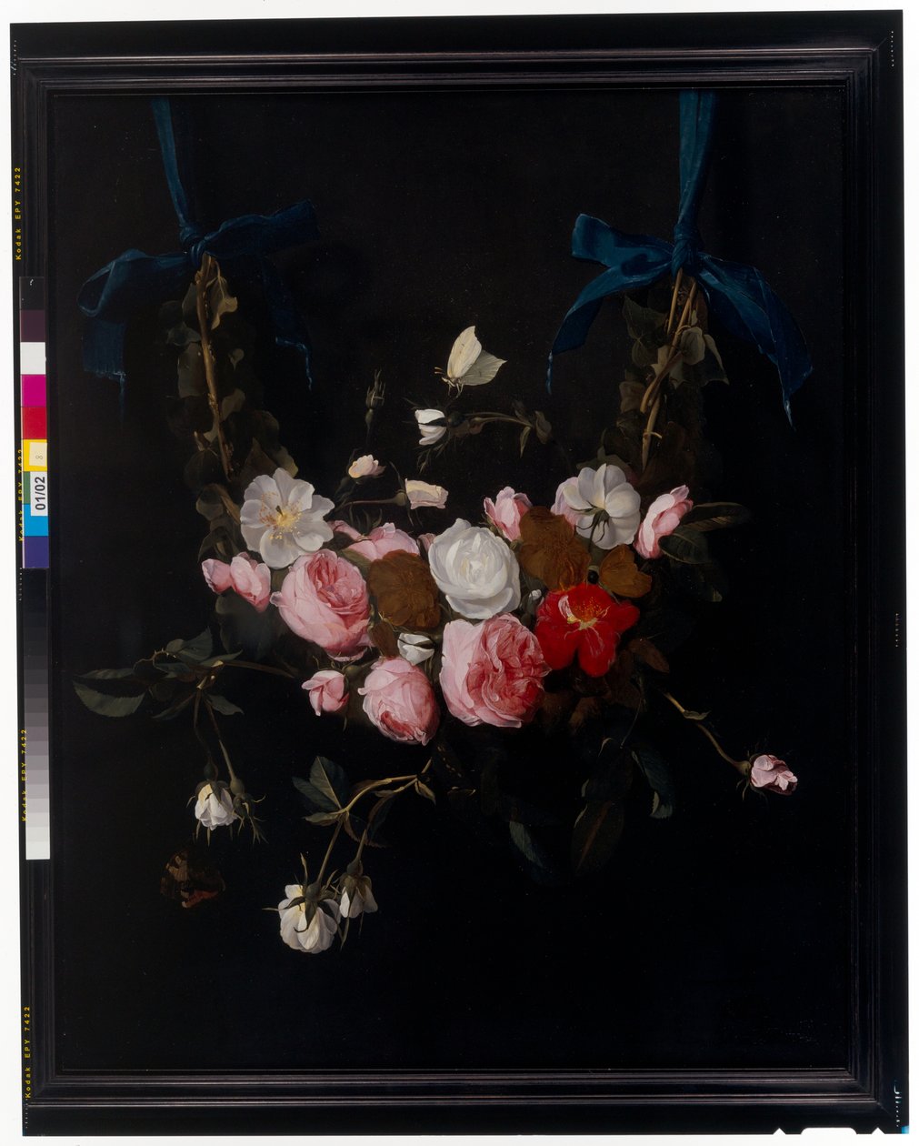 Girlanden aus Rosen, Tulpen, Narzissen und anderen Blumen, die von blauen Bändern hängen von Daniel Seghers