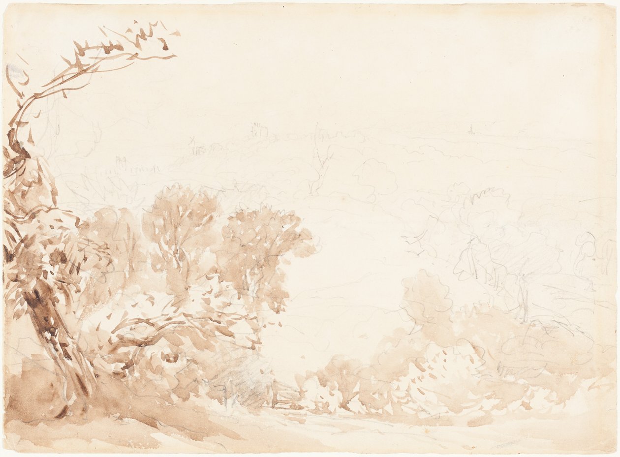 Hügel und Bäume von David Cox