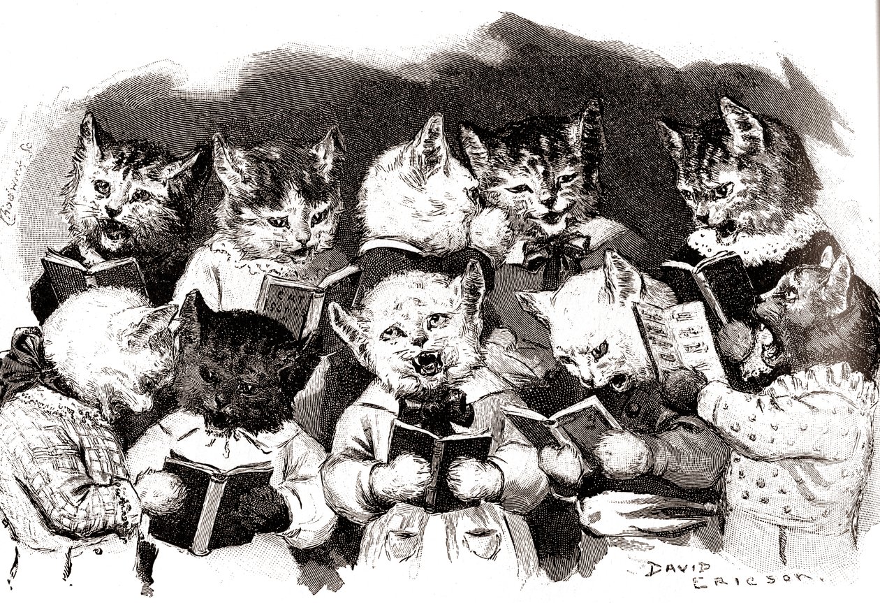 Singender Katzenchor, frühes 20. Jahrhundert (Illustration) von David Ericson